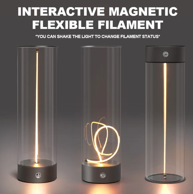 Quantum Magnetic Suction Lamp