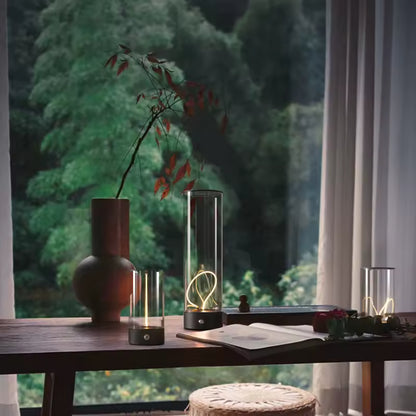 Quantum Magnetic Suction Lamp